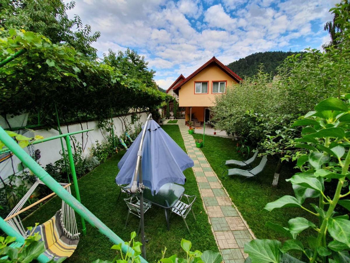 Casa Lucky Hotel Rîşnov Kültér fotó