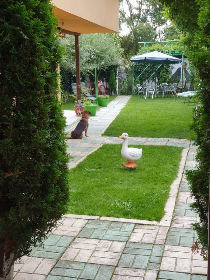 Casa Lucky Hotel Rîşnov Kültér fotó